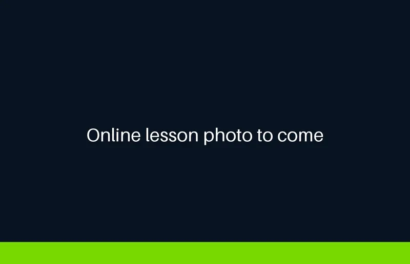 Photo to come: an online lesson in progress